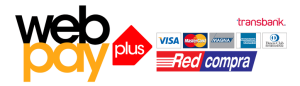 logo-webpay-plus-3